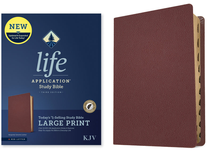 KJV Life Application Study Bible, Third Edition, Large Print