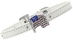 Dog, Puppy & Pet Charm Collar, "USA Flag"